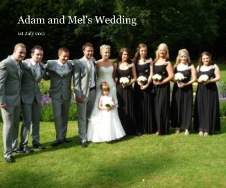 Adam and Mel's Wedding book cover