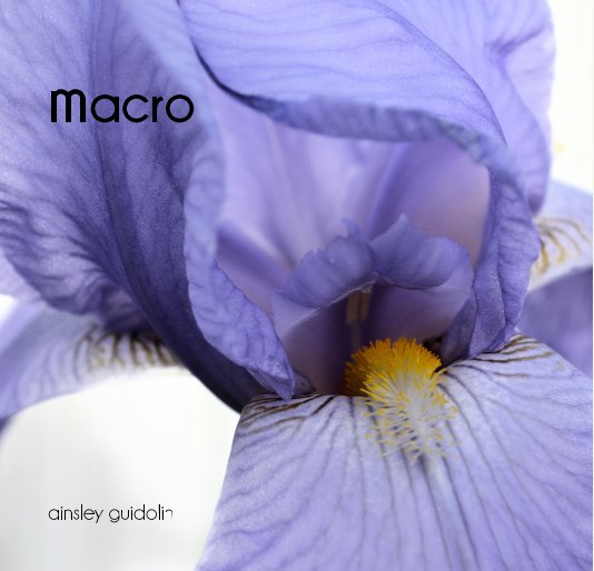 View macro by ainsley guidolin