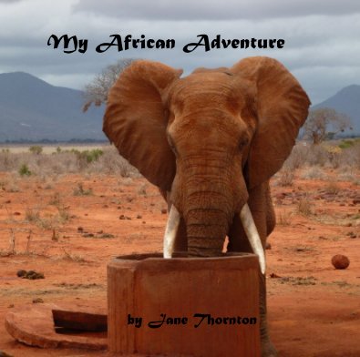 My African Adventure book cover