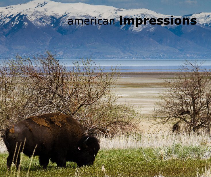 View american impressions by Sandra and Laszlo Peter