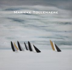 Marieke Tollenaere book cover