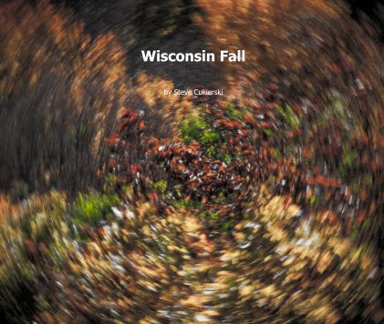 Wisconsin Fall book cover