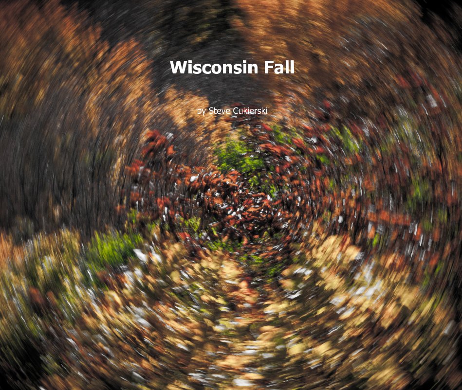 View Wisconsin Fall by Steve Cukierski