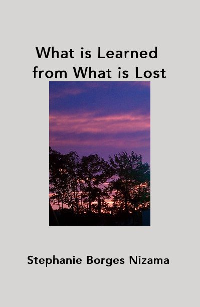 View What is Learned from What is Lost by Stephanie Borges Nizama
