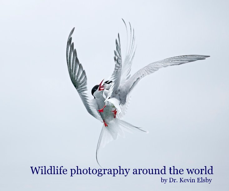 View Wildlife photography around the world by Dr. Kevin Elsby by Kevin Elsby