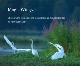 Magic Wings book cover
