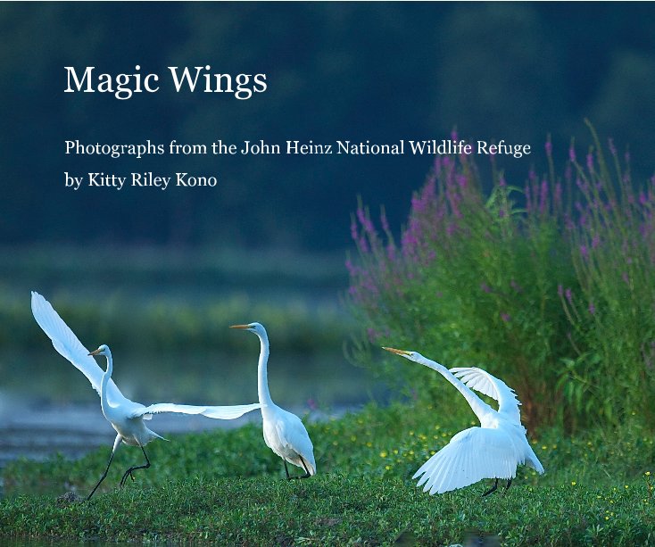 View Magic Wings by Kitty Riley Kono
