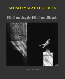 AFONSO MALATO DE SOUSA book cover