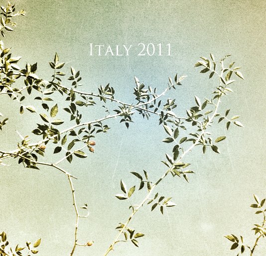 Ver Italy 2011 por Bootsy Holler