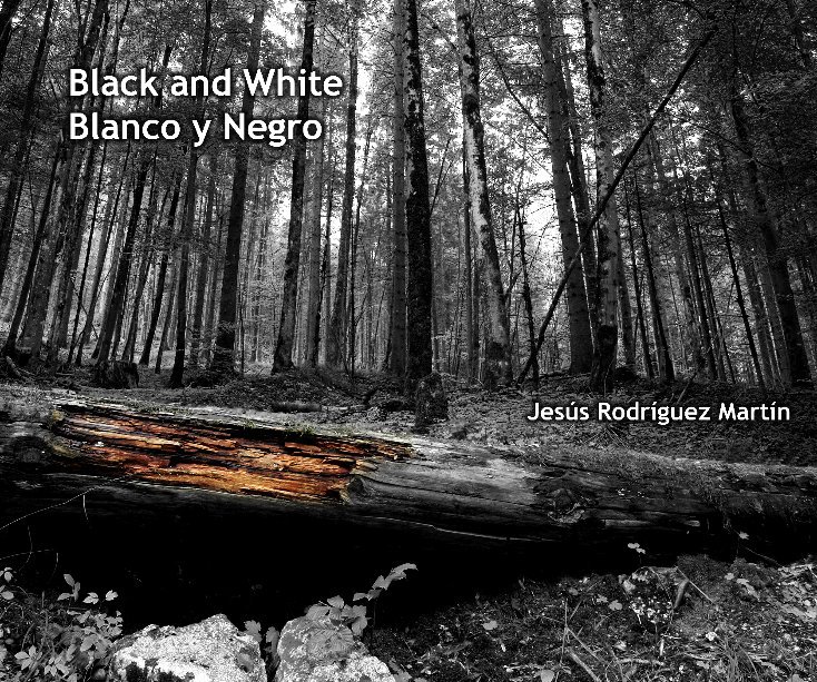 View Black and White by Jesus Rodriguez Martin