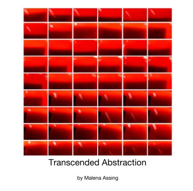Transcended Abstraction book cover