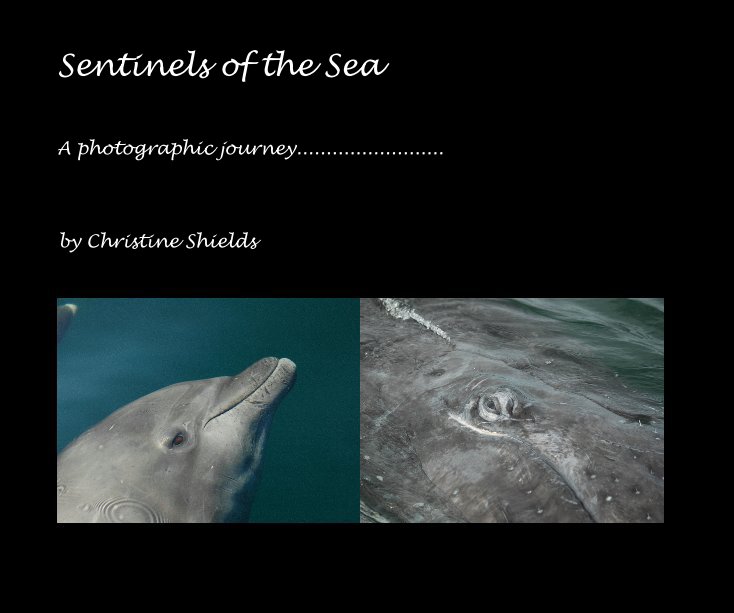 Sentinels of the Sea nach Christine Shields anzeigen