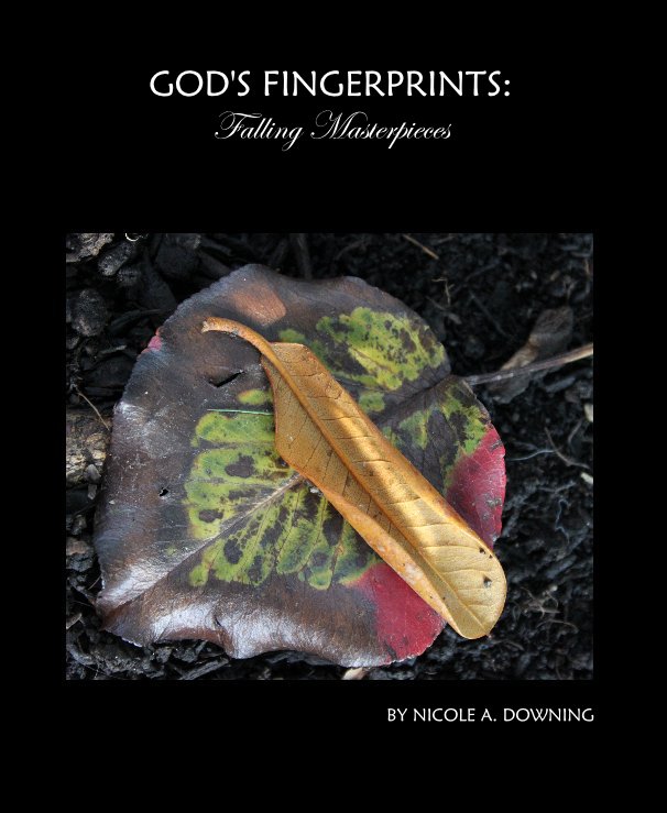 View GOD'S FINGERPRINTS: Falling Masterpieces by NICOLE A. DOWNING