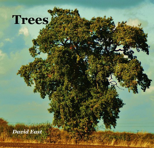 View Trees by David East