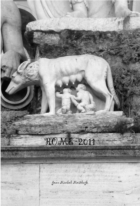 Bekijk ROME 2011 op Jean Michel Mestdagh