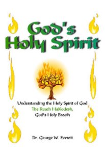 God's Holy Spirit book cover
