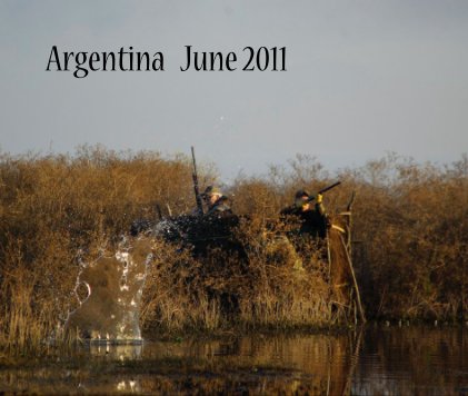 Argentina June 2011 book cover