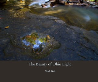 The Beauty of Ohio Light book cover