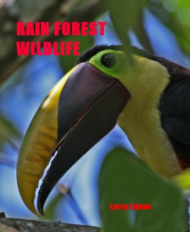 RAIN FOREST WILDLIFE book cover