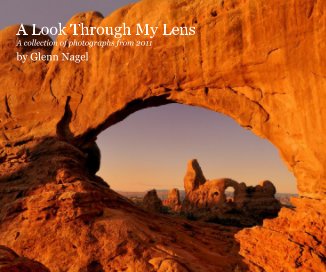 A Look Through My Lens: 2011 book cover
