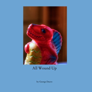 All Wound Up book cover