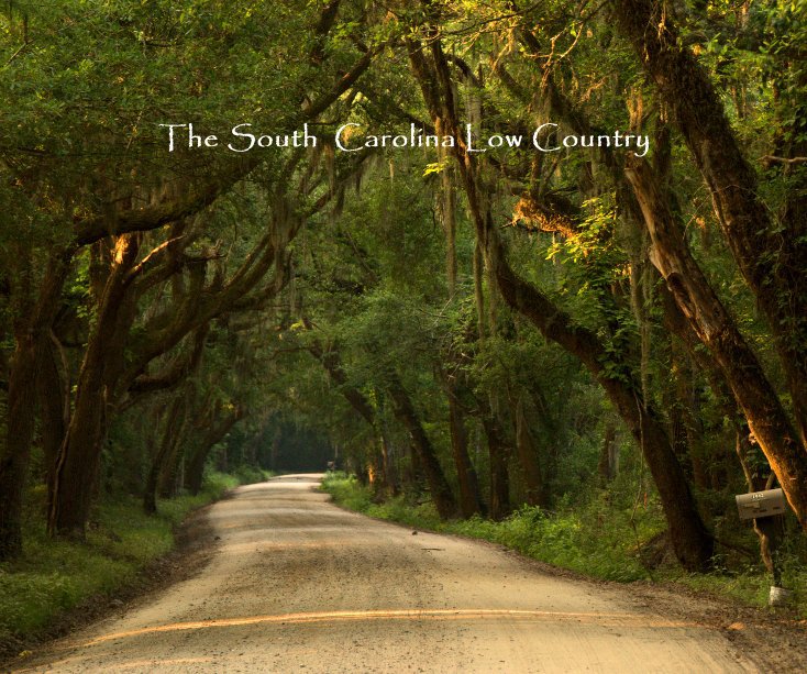 Ver The South Carolina Low Country por Ann Currie Williams