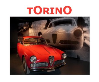 TORINO book cover