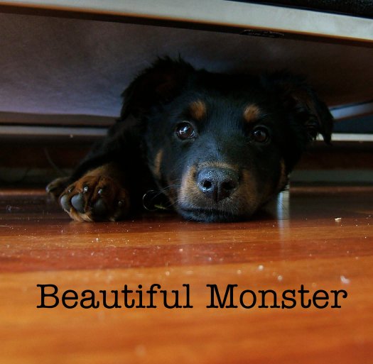 Ver Untitled por Beautiful Monster

      Melissa Clout