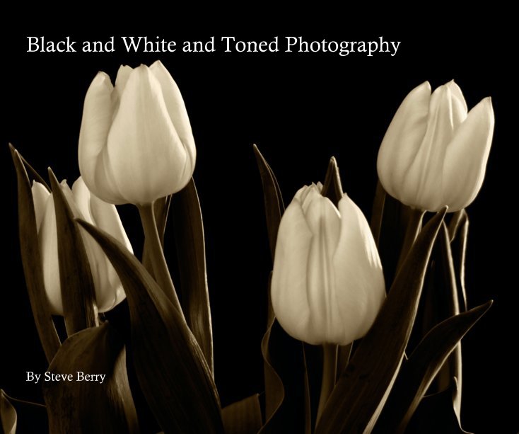 Ver Black and White and Toned Photography por Steve Berry