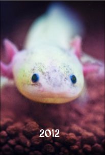 Axolotl book cover
