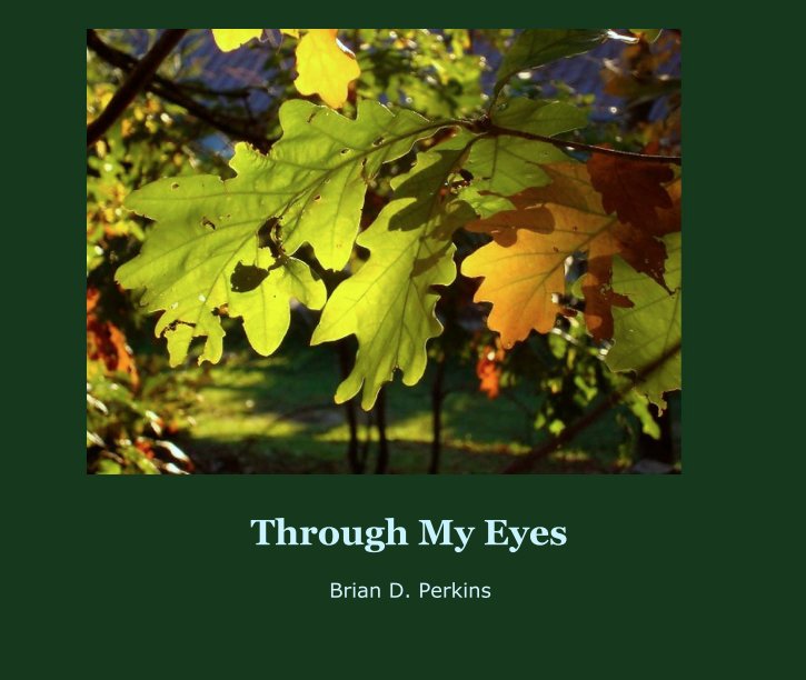 View Through My Eyes by Brian D. Perkins