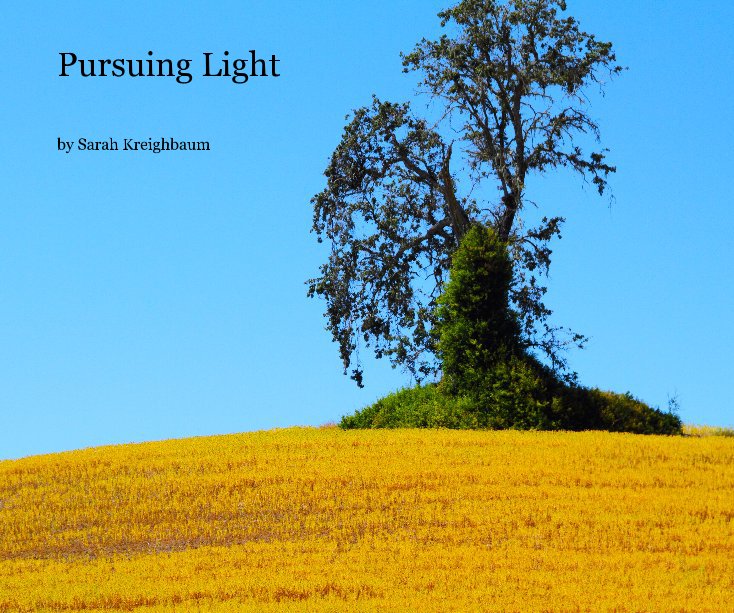 View Pursuing Light by Sarah Kreighbaum
