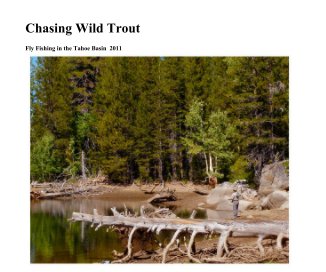 Chasing Wild Trout book cover