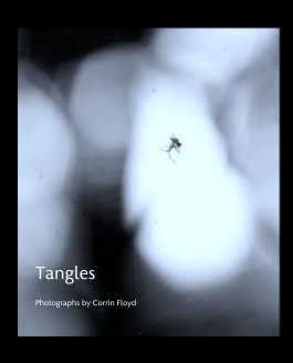 Tangles book cover