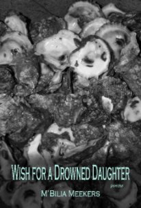 Wish for a Drowned Daughter book cover