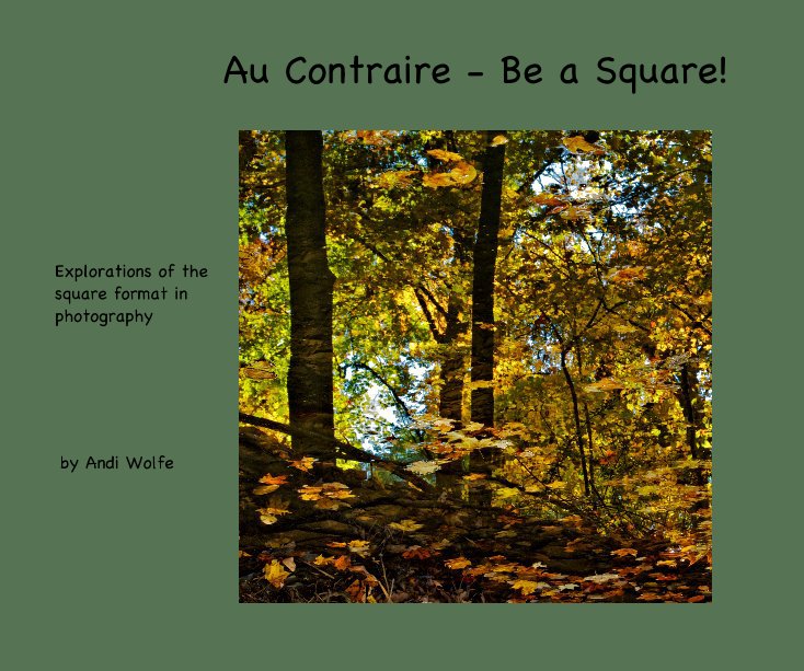 View Au Contraire - Be a Square! by Andi Wolfe