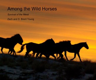 Among the Wild Horses book cover