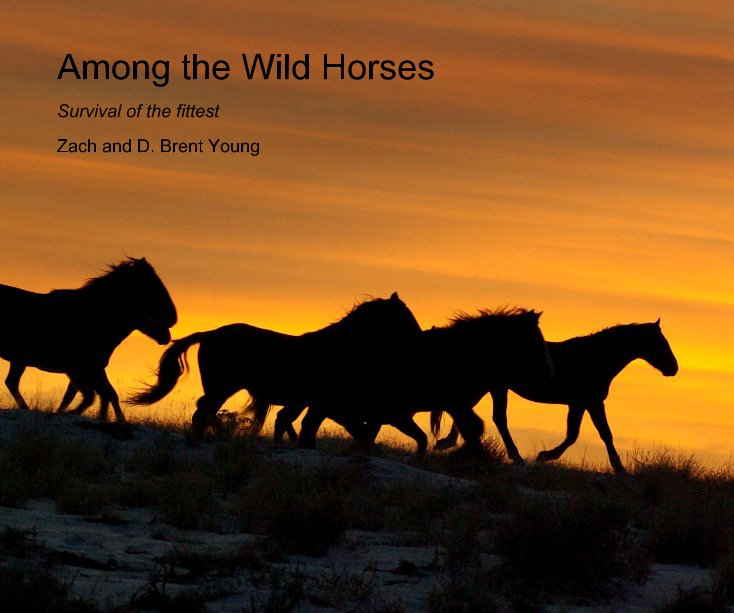 Visualizza Among the Wild Horses di Zach and D. Brent Young