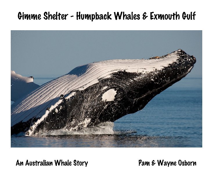 View Gimme Shelter - Humpback Whales & Exmouth Gulf by wayneosborn