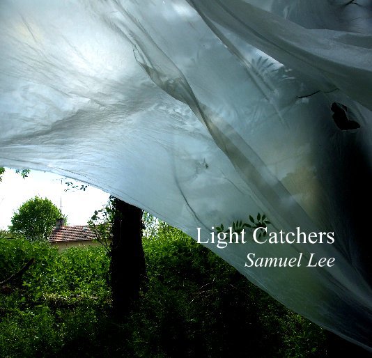 View Light Catchers (small version 3) by Samuel Lee