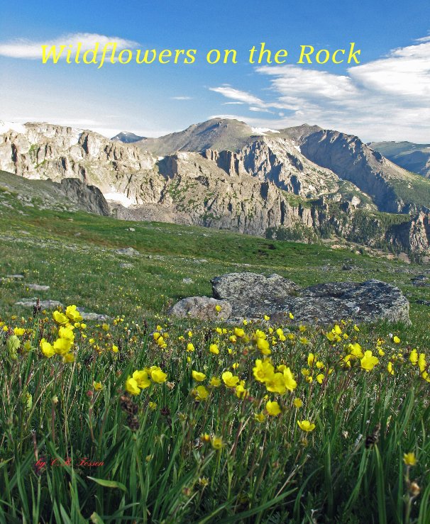 View Wildflowers on the Rock by C.R. Fossen