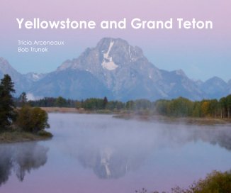 Yellowstone and Grand Teton book cover