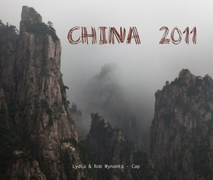 CHINA 2011 book cover