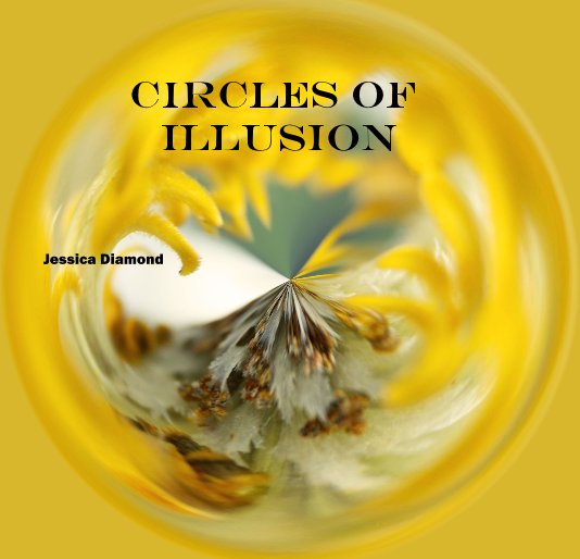 View Circles of Illusion by Jessica Diamond