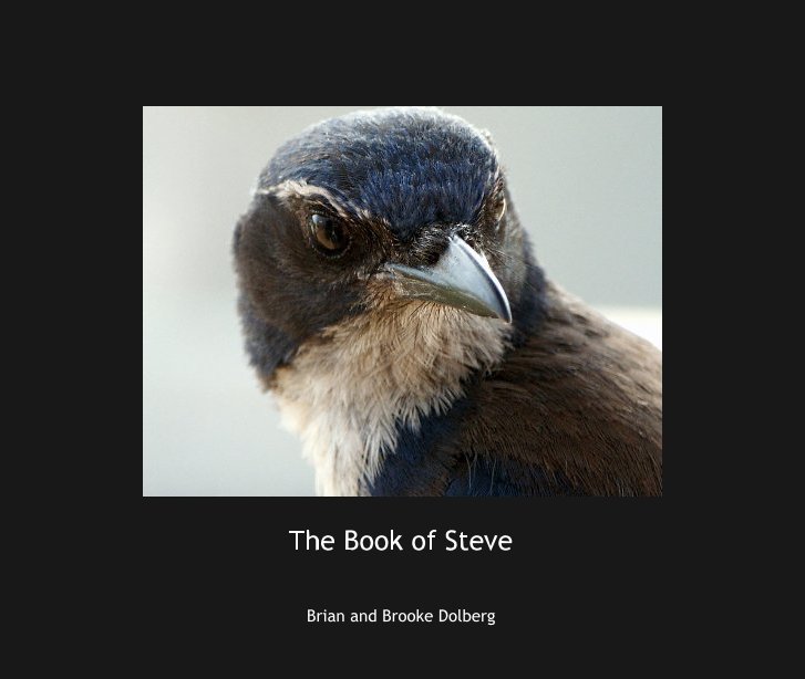 View The Book of Steve by Brian and Brooke Dolberg