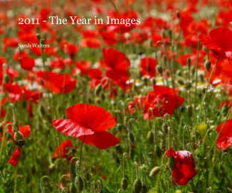 2011 - The Year in Images book cover