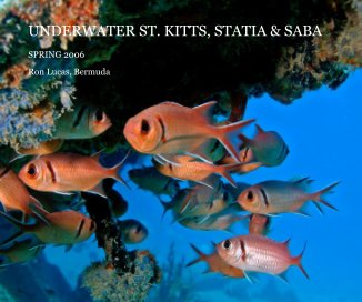 UNDERWATER ST. KITTS, STATIA & SABA book cover