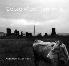 Copsa Mica, Romania book cover