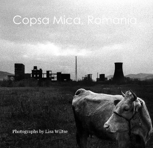 View Copsa Mica, Romania by Photographs by Lisa Wiltse