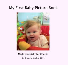 My First Baby Picture Book book cover